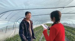 七万学子 四大脚色